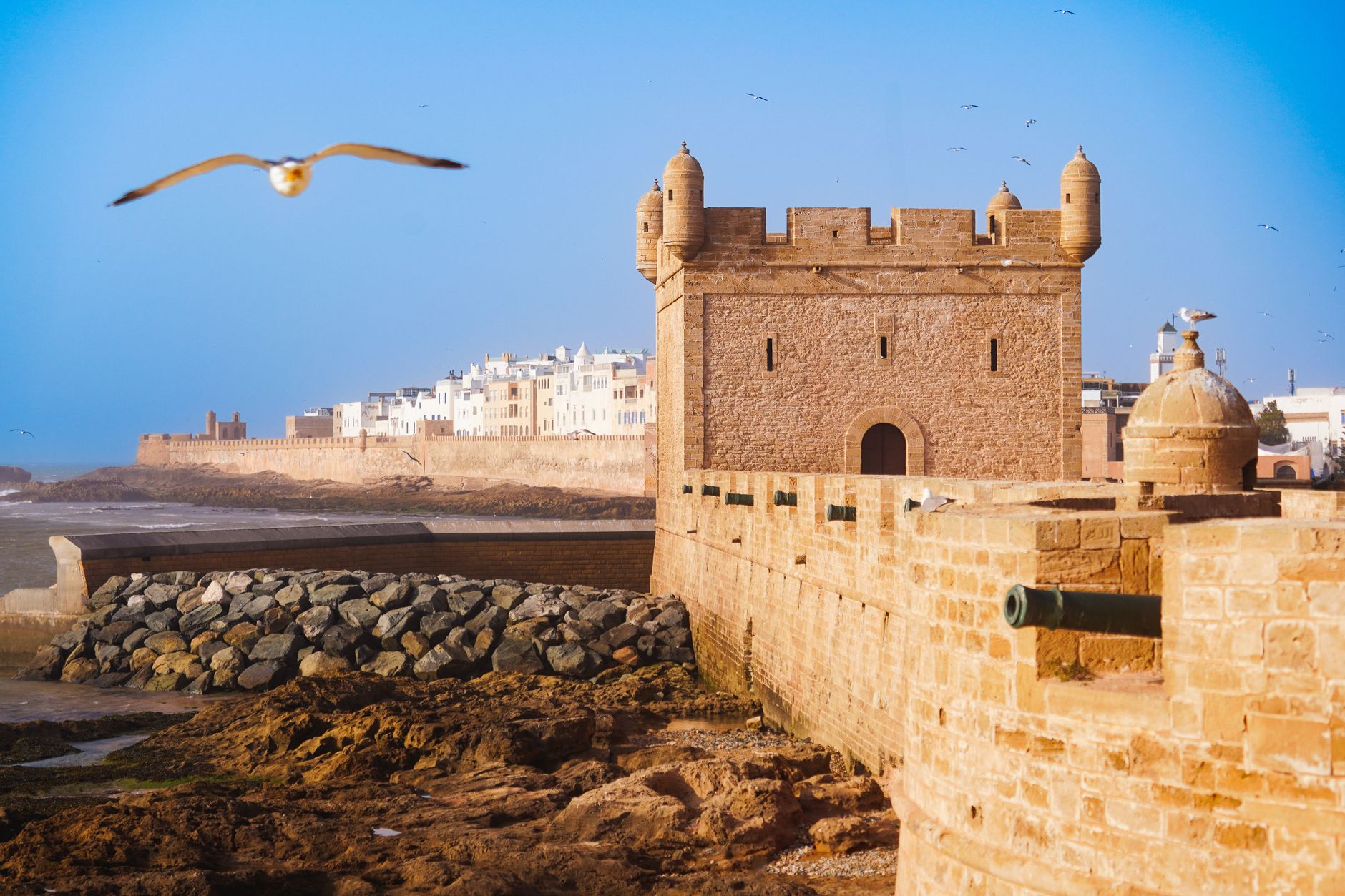 Une vue pittoresque des remparts antiques d'Essaouira en bord de mer, soulignant son charme historique.